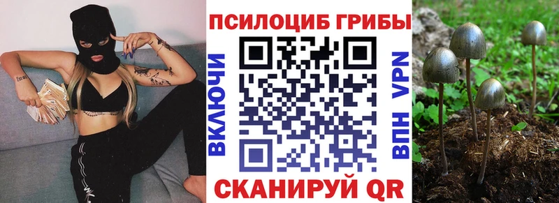 закладки Советский Галлюциногенные грибы прущие грибы